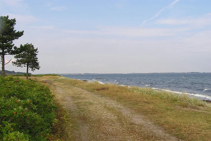 Uitzicht op het water