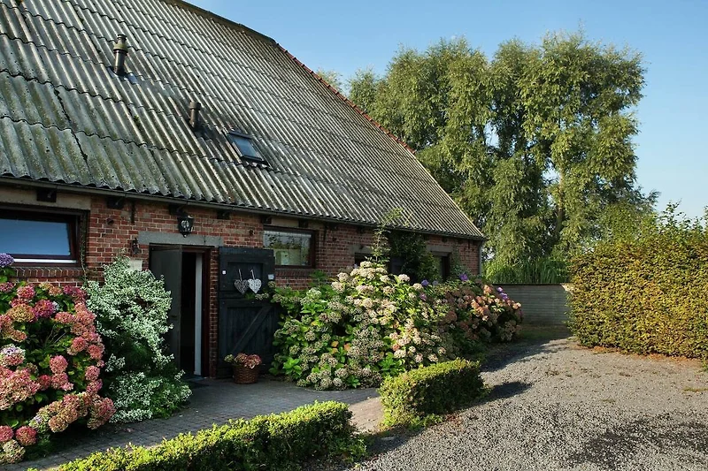 Außenseite Ferienhaus (Sommer)