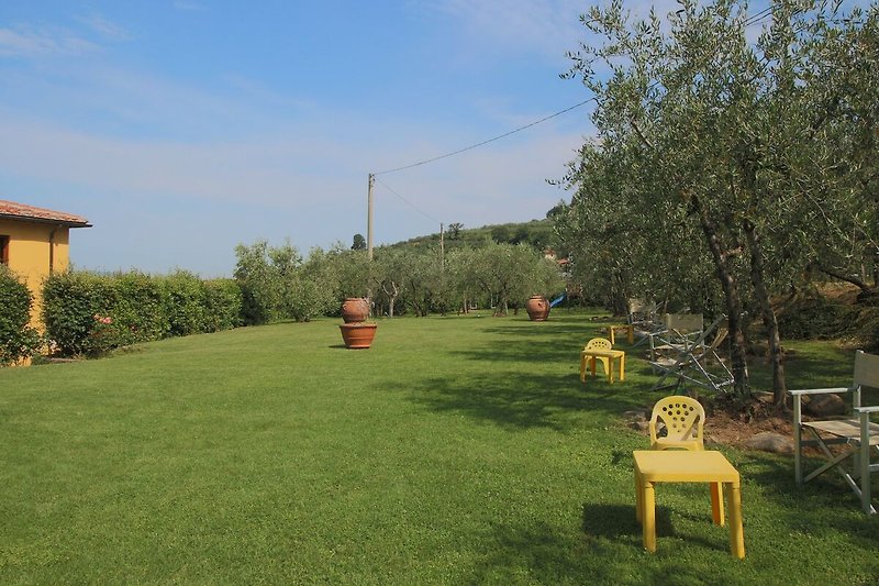 Garten (Sommer)