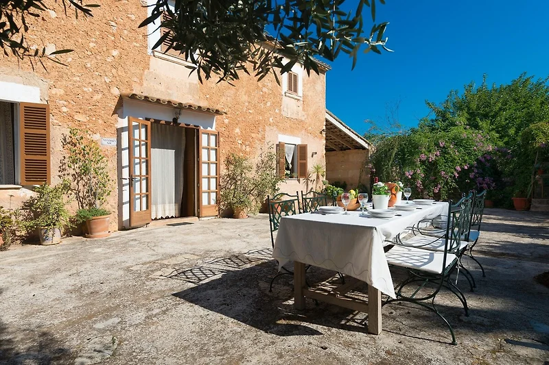 Exterieur vakantiehuis (zomer)