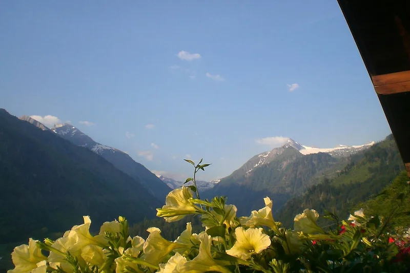 Aussicht vom Ferienhaus (Sommer)