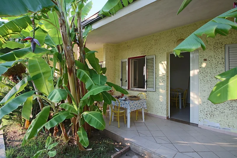Esterno casa vacanze (estate)