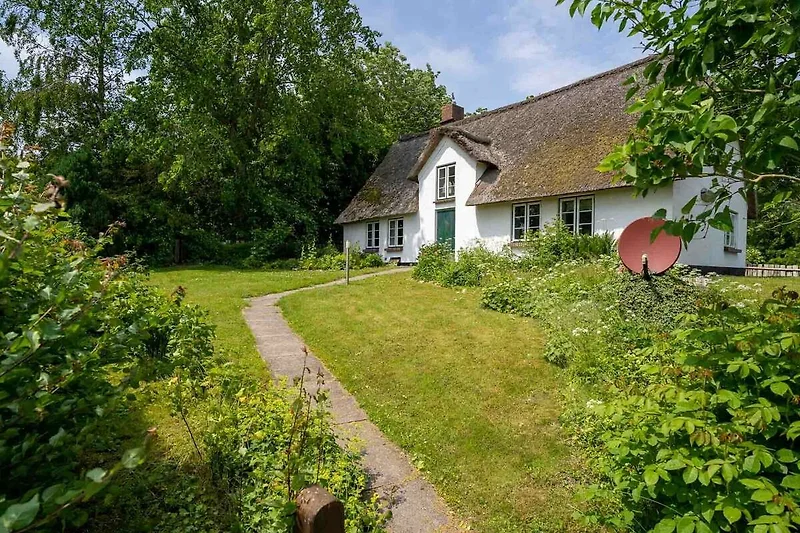 Außenseite Ferienhaus (Sommer) Außenseite Ferienhaus (Sommer)