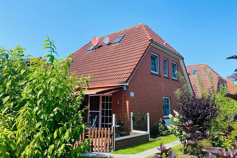 Exterieur vakantiehuis (zomer)