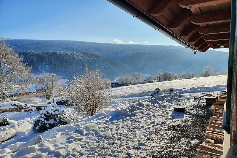 Directe omgeving (winter) (<1 km)