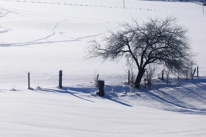 Directe omgeving (winter) (<1 km)