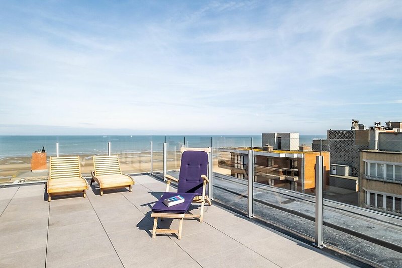 Terrasse / Balkon