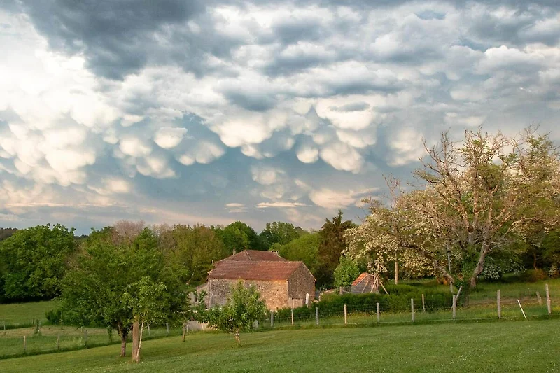 Esterno casa vacanze (estate)