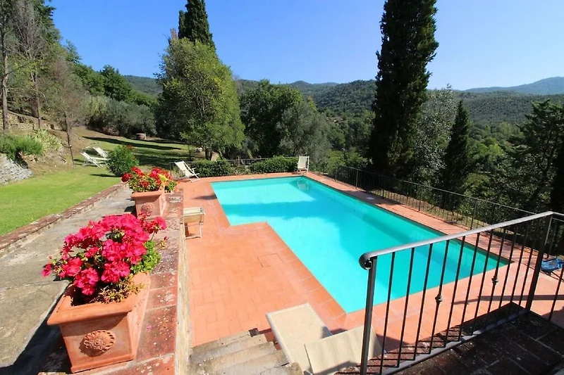 Schwimmbad des Ferienhauses