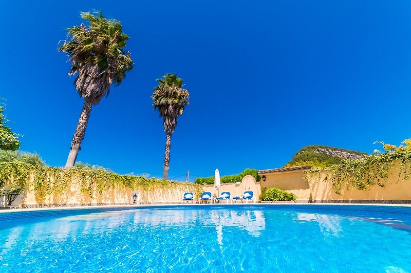 Schwimmbad des Ferienhauses