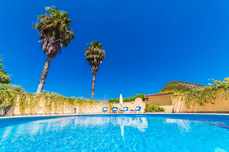 Schwimmbad des Ferienhauses