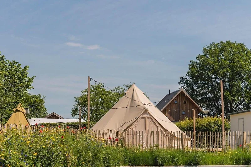 Direkte Umgebung (Sommer) (<1 km)