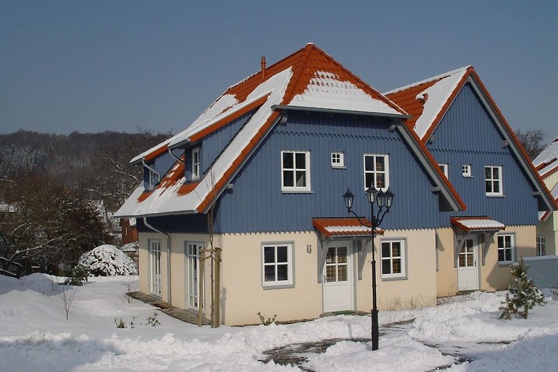 Widok na dom (zima)