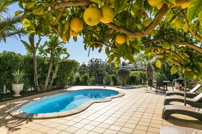 Schwimmbad des Ferienhauses