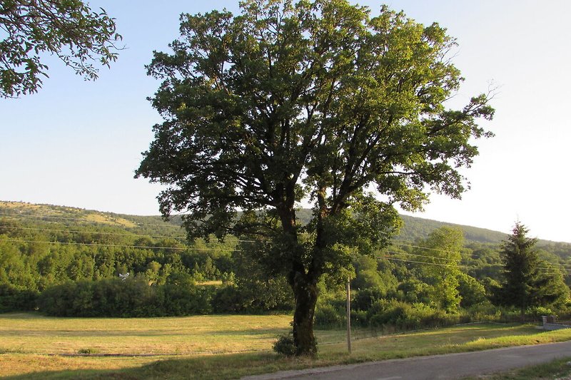 Dintorni (estate) (1-5 km)