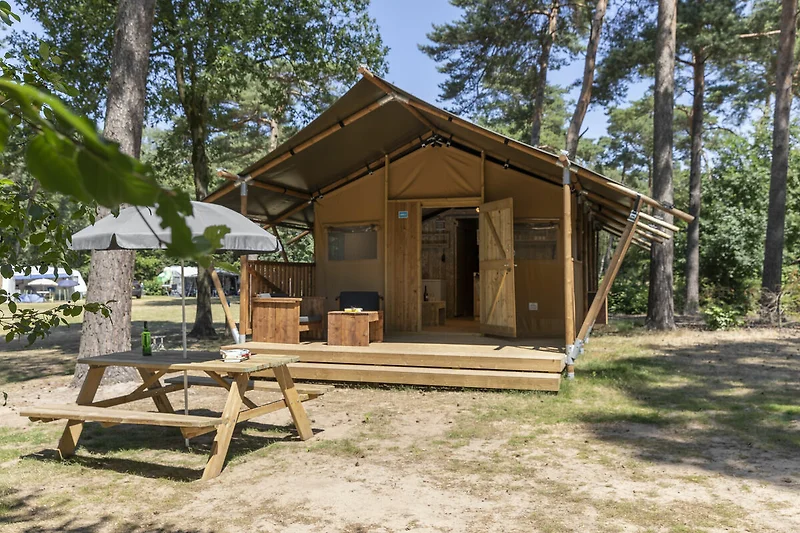 Holiday Home Exterior (summer)