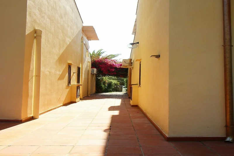 Außenseite Ferienhaus (Sommer)