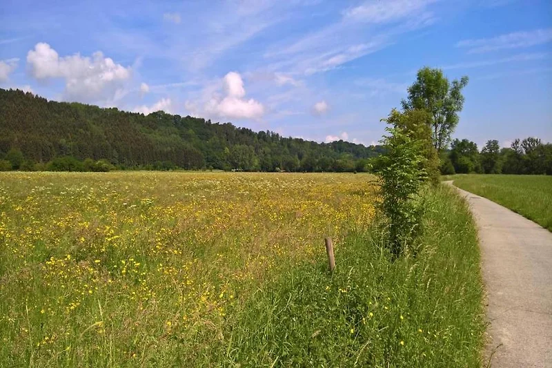 In der Region (Sommer) (>5 km)