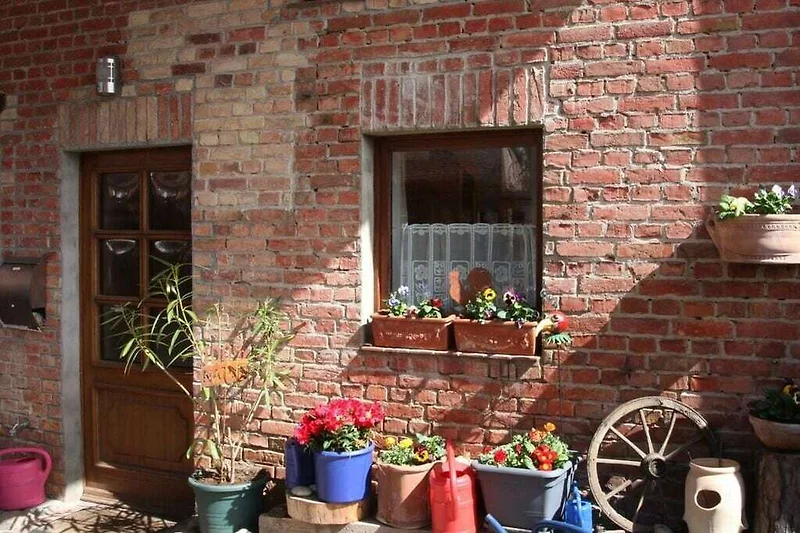 Exterieur vakantiehuis (zomer)