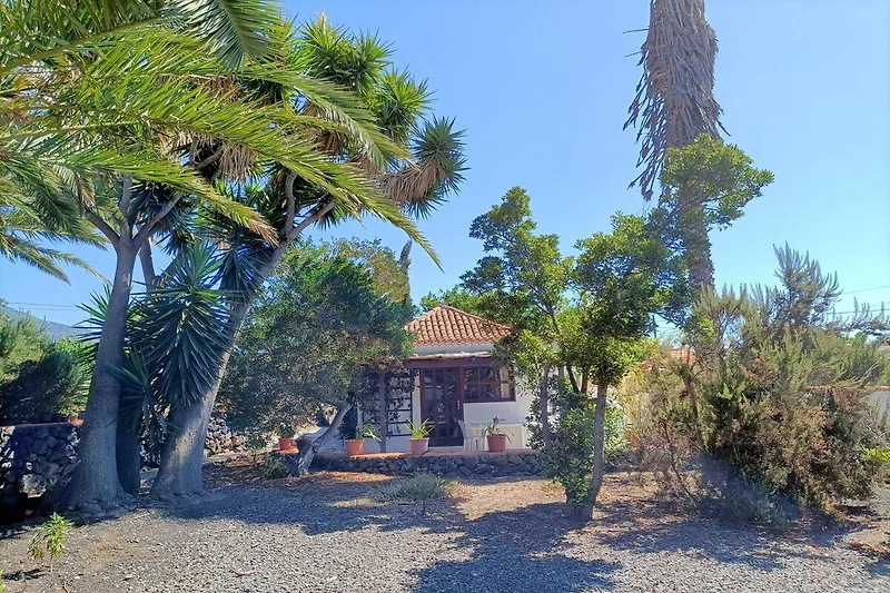 Exterieur vakantiehuis (zomer)