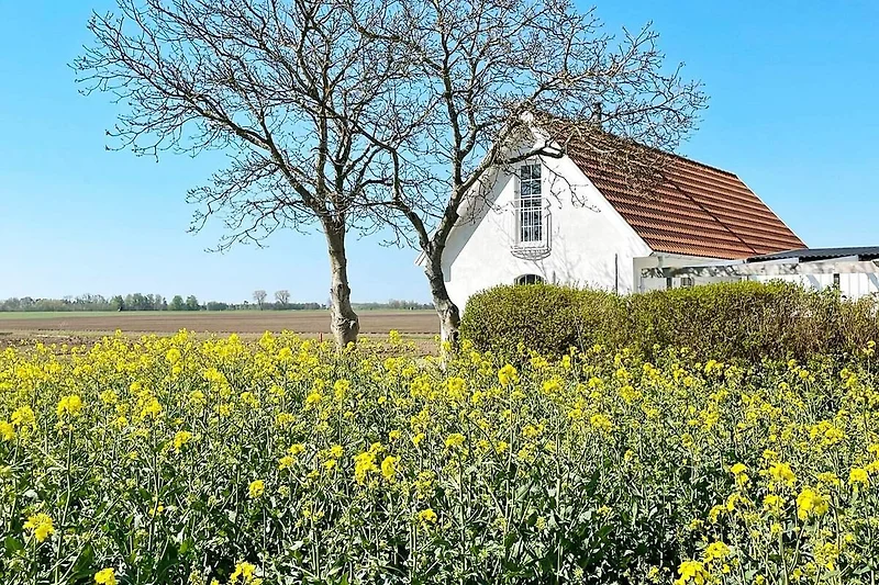 Außenseite
