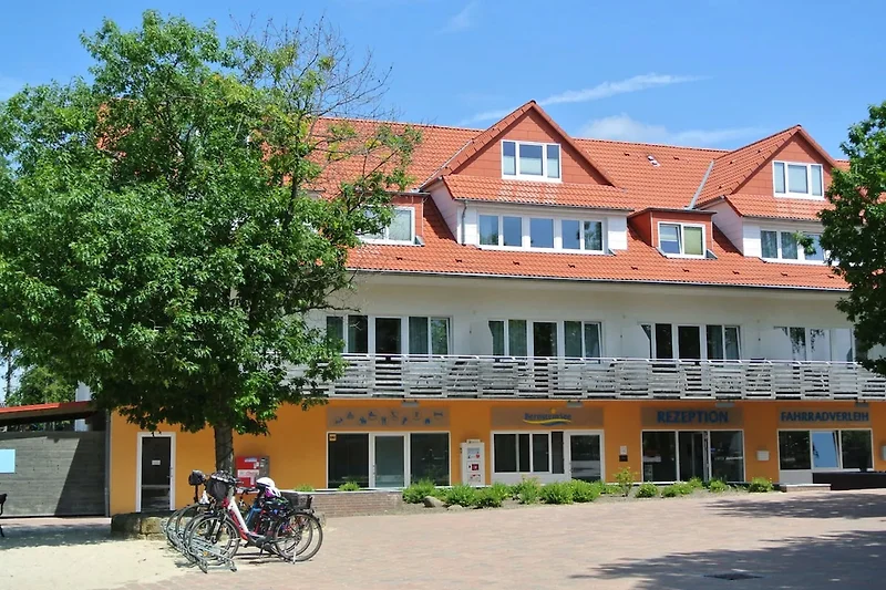 Exterieur vakantiehuis (zomer)