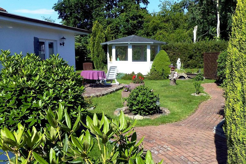 Garten (Sommer)