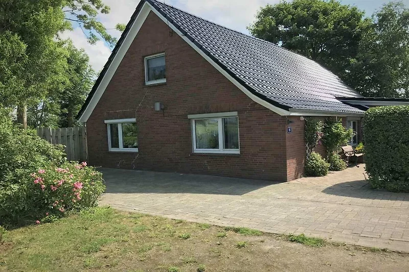 Außenseite Ferienhaus (Sommer)