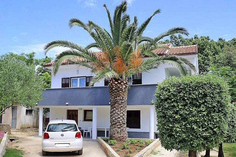 Außenseite Ferienhaus (Sommer)