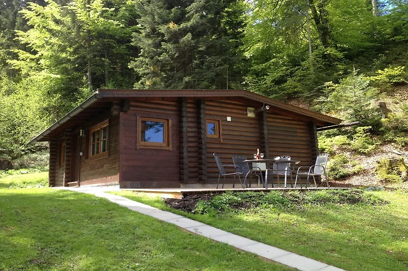 Exterieur vakantiehuis (zomer)