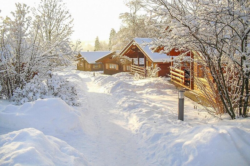 Esterno casa vacanze (inverno)