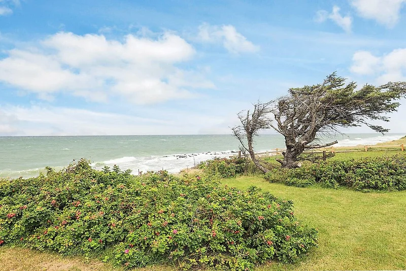 Uitzicht op het water