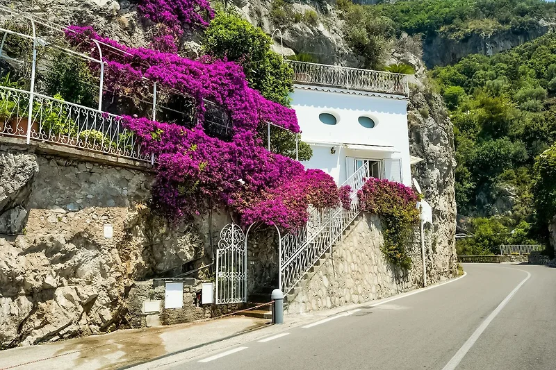 Esterno casa vacanze (estate)
