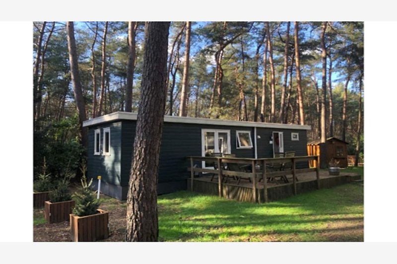 Exterieur vakantiehuis (zomer)