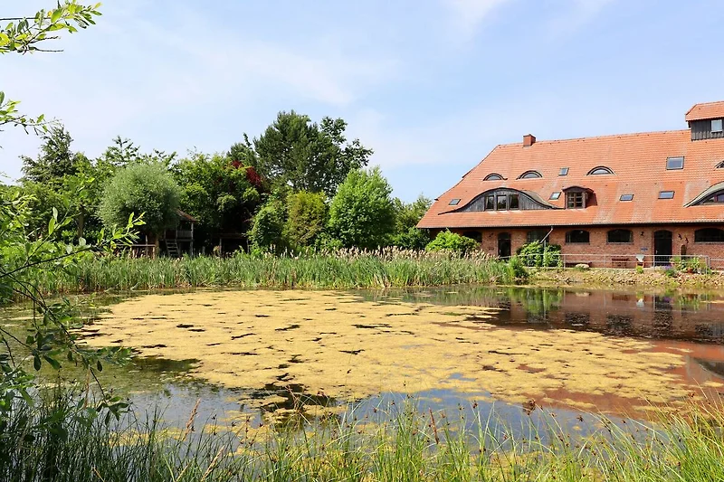Exterieur vakantiehuis (zomer)