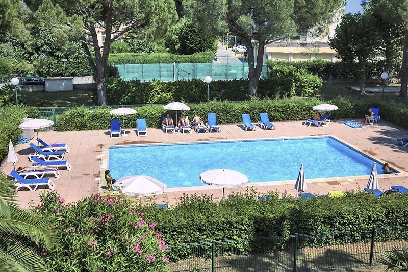 Ausstattung und Service des Ferienparks