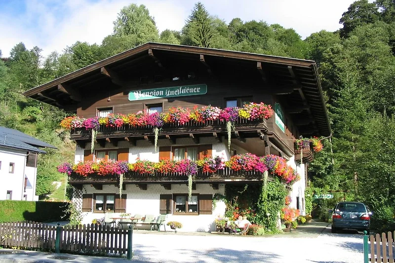 Außenseite Ferienhaus (Sommer)