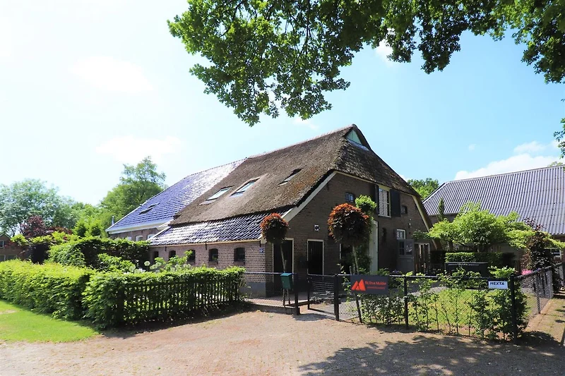 Exterieur vakantiehuis (zomer)