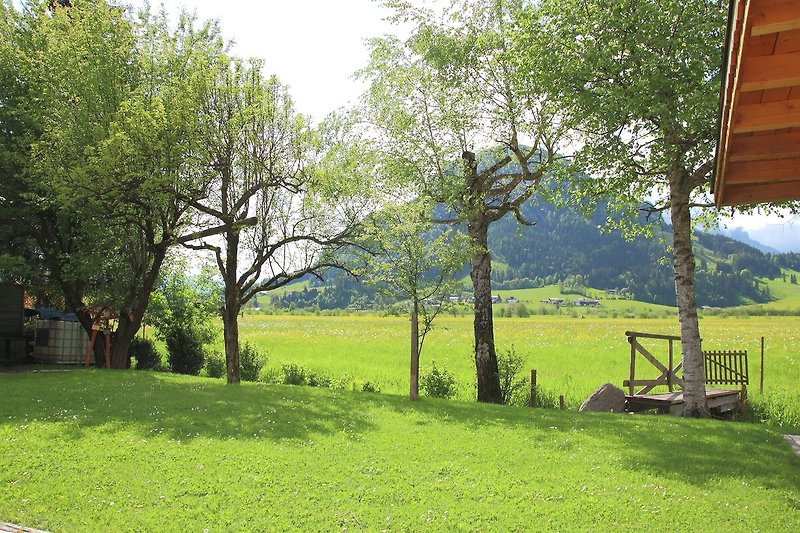 Garten (Sommer)