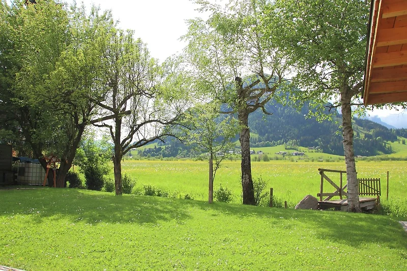 Garten (Sommer)