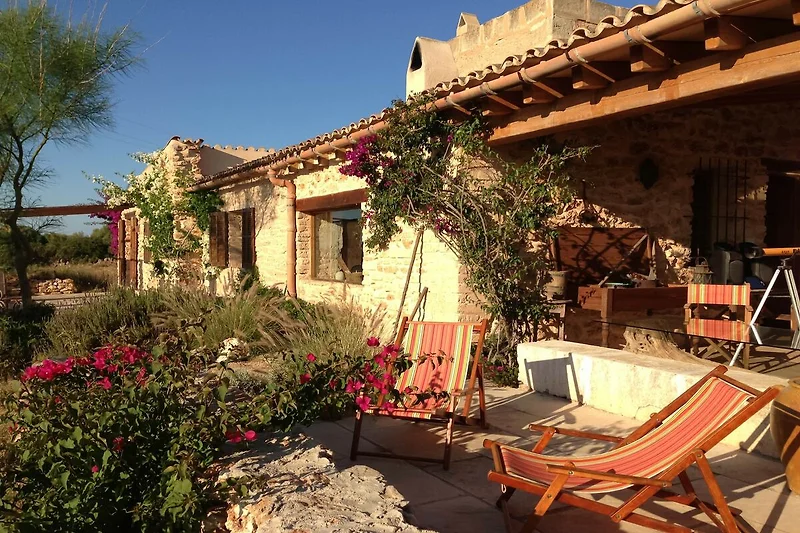 Außenseite Ferienhaus (Sommer)