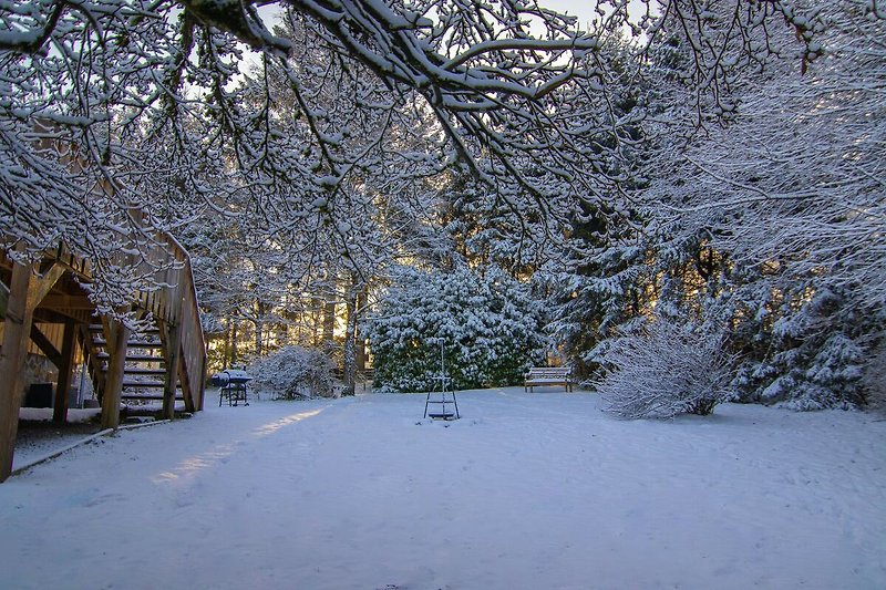 Jardin (hiver)