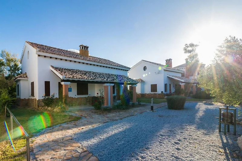 Außenseite Ferienhaus (Sommer)