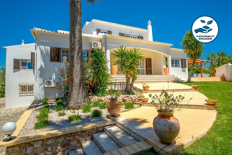 Exterieur vakantiehuis (zomer)