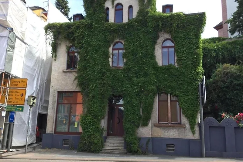 Außenseite Ferienhaus (Sommer)