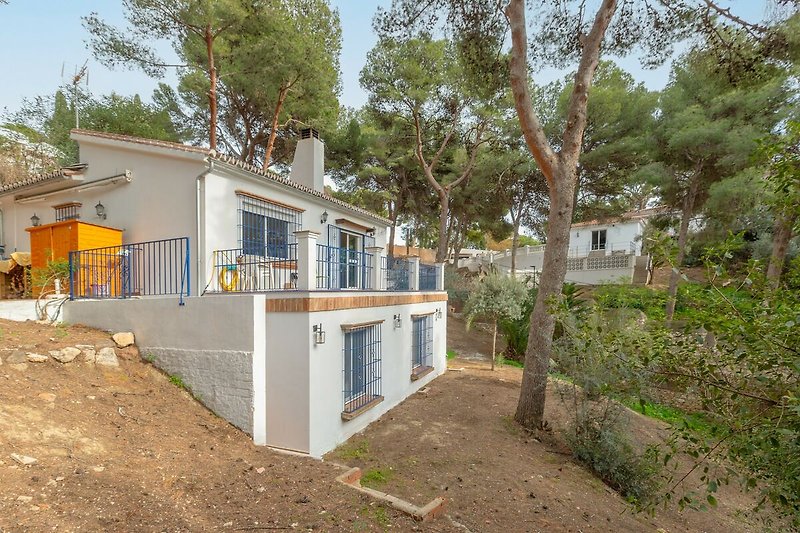 Esterno casa vacanze (estate)
