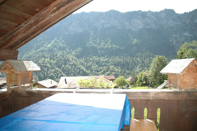 Terrasse / Balkon