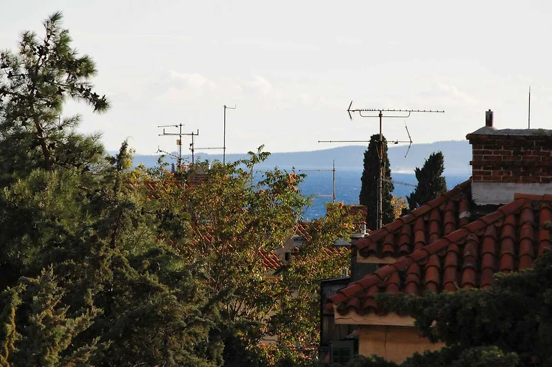 Vista