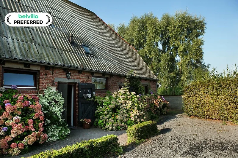 Exterieur vakantiehuis (zomer)