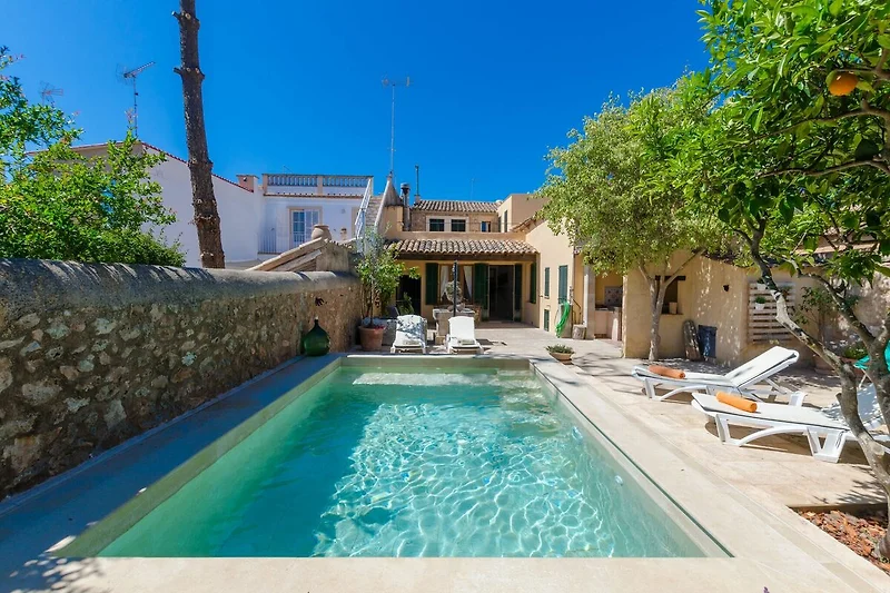 Exterieur vakantiehuis (zomer)